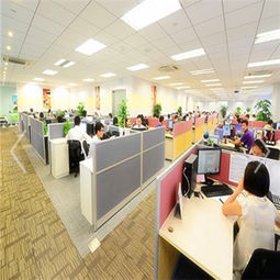 深圳海邦國際物流供應(yīng)鏈有限責任公司