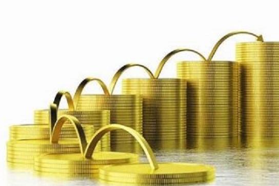 飛不起來的豬 穩健與理性的投資管理之道